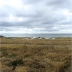 DSC00329