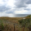 DSC00334