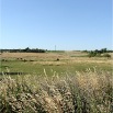 DSC00690