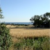 DSC00765