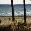 DSC00308